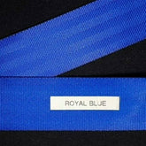 seatbelt webbing - blue