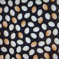 Project Bag - Farm Fresh Eggs - Lake Wind Studio