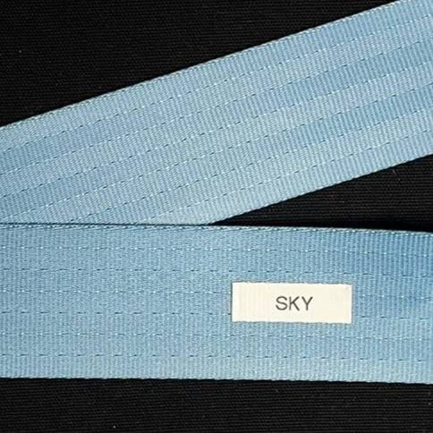 Seatbelt Webbing by the Yard - 2 Inch - Sky